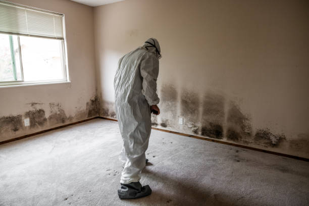 Forensic Mold Investigation in Eton, GA